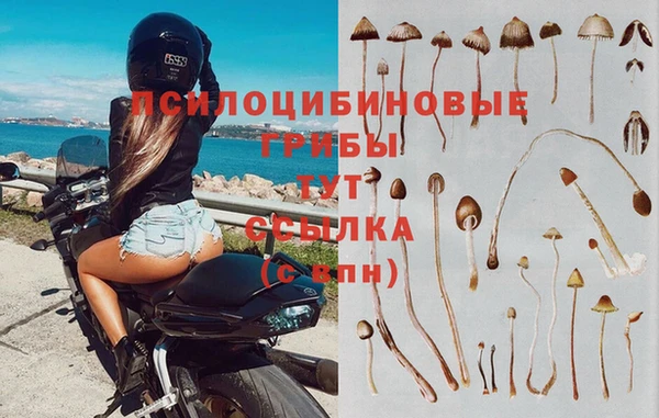 MESCALINE Алексин